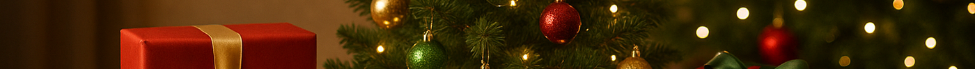 TOP 10 dovanų idėjų Kalėdoms 2025 – ką padovanoti artimiesiems