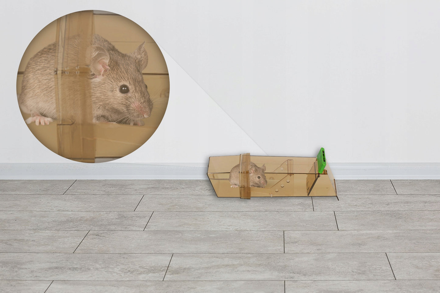 HUMANITARINIS GAUDYTUvas GYVATRAUKIS PELĖKAUTAI GRAUŽIKAMS NO PEST (5 VNT)