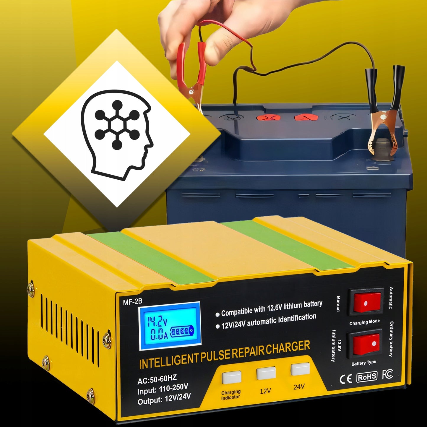Automobilinis akumuliatorių įkroviklis su remonto funkcija 12V 24V