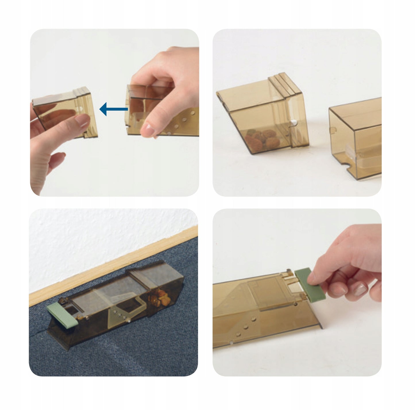 HUMANITARINIS GAUDYTUvas GYVATRAUKIS PELĖKAUTAI GRAUŽIKAMS NO PEST (5 VNT)