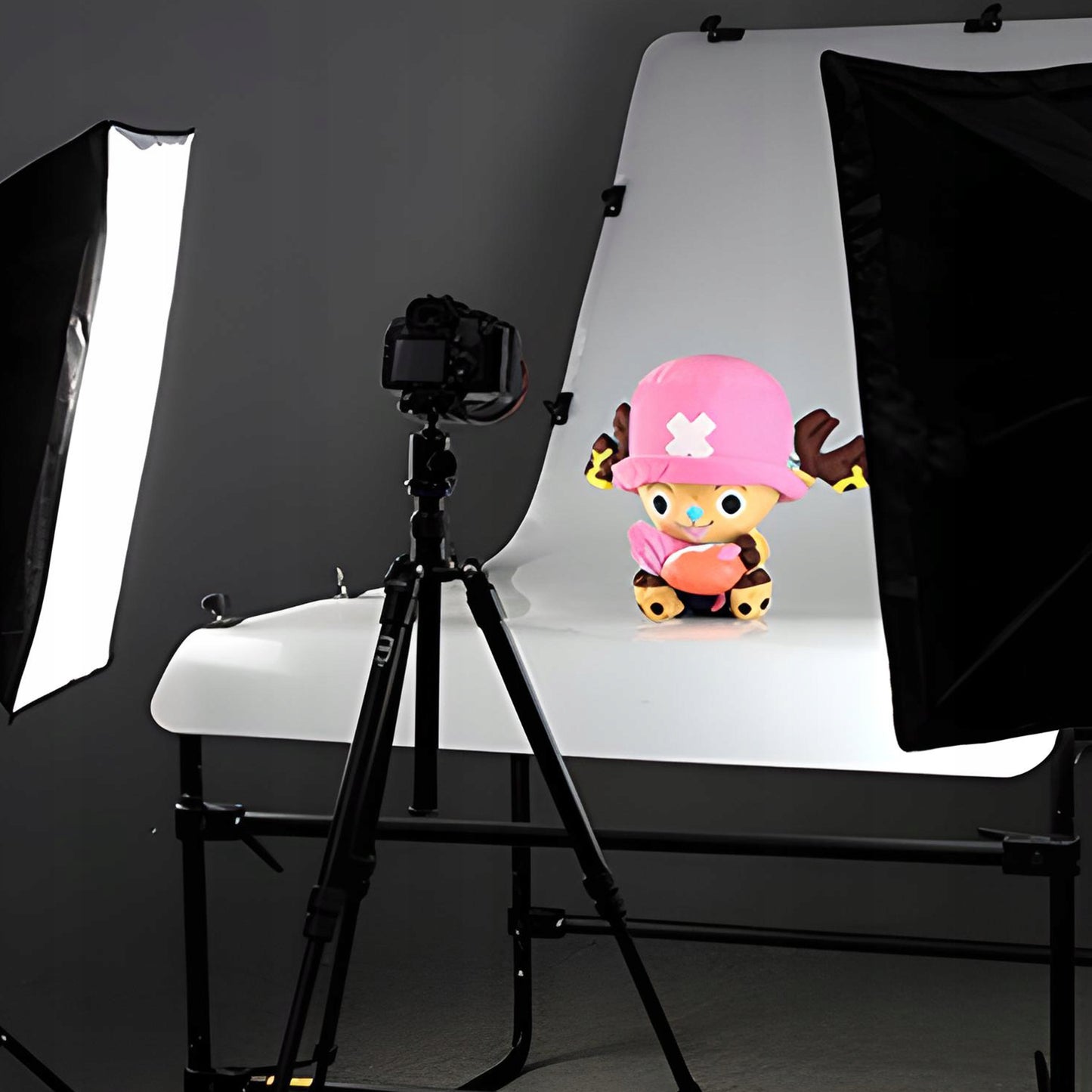Fotografinis rinkinys: 2x fotografinė lempa, trikojis, 2x 50x70cm softboxas