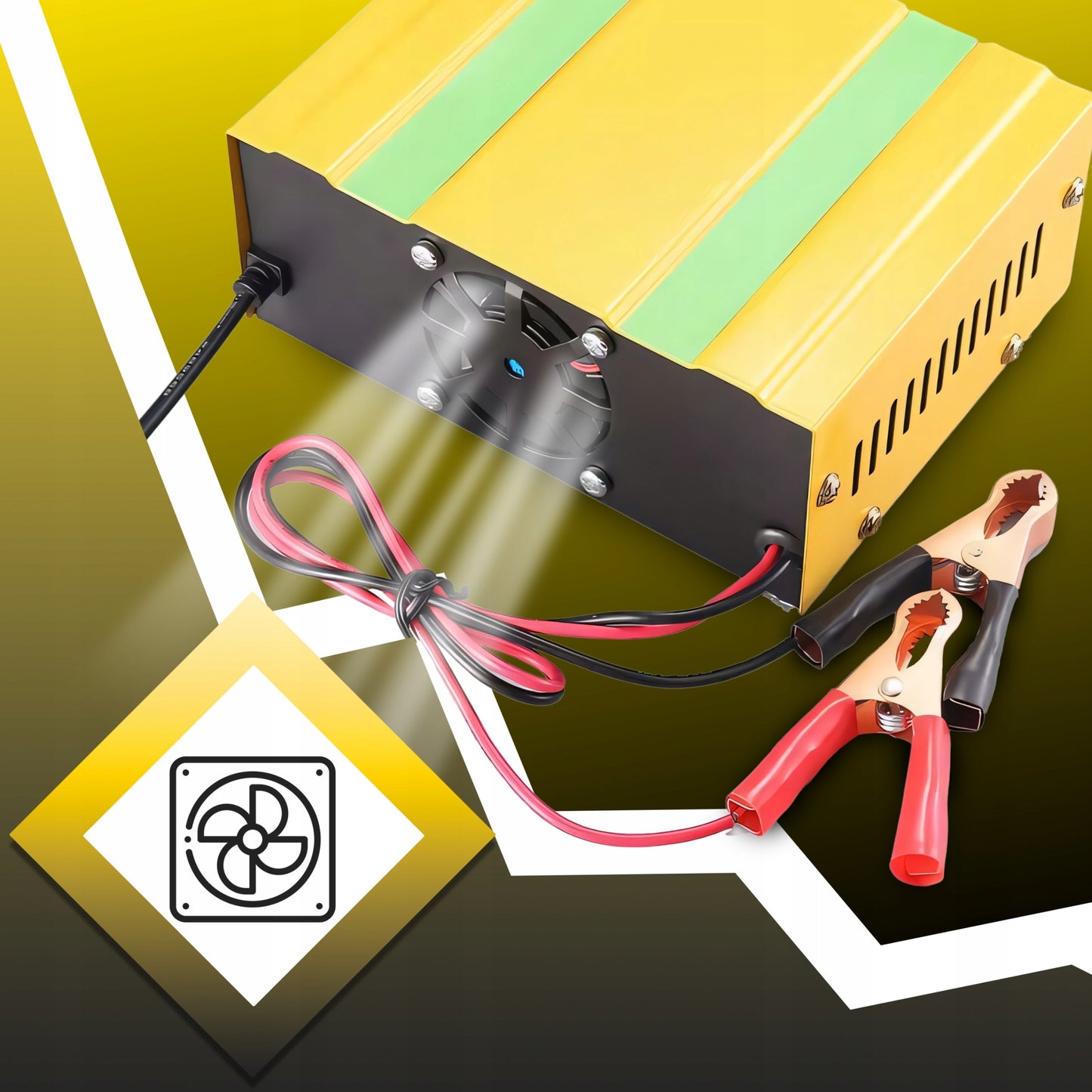 Automobilinis akumuliatorių įkroviklis su remonto funkcija 12V 24V