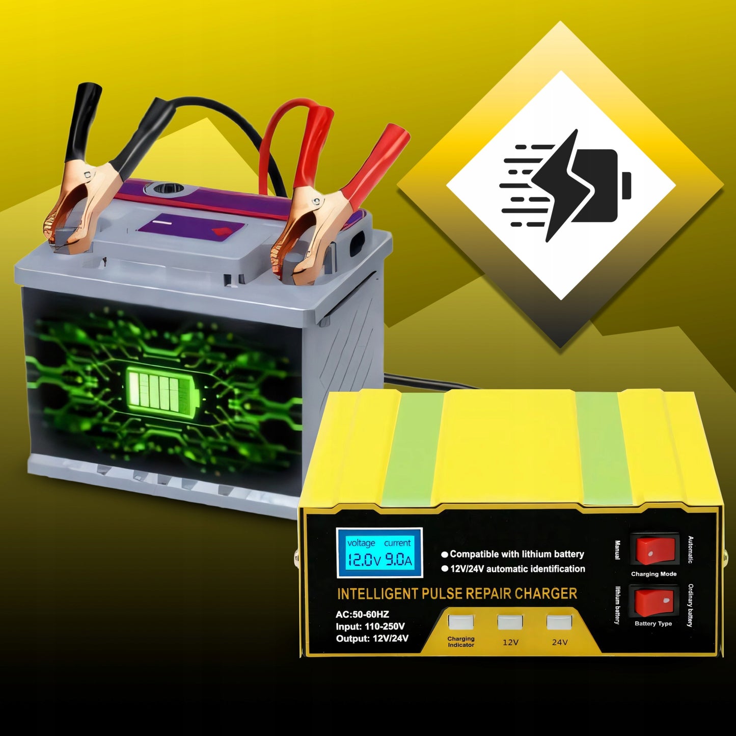 Automobilinis akumuliatorių įkroviklis su remonto funkcija 12V 24V