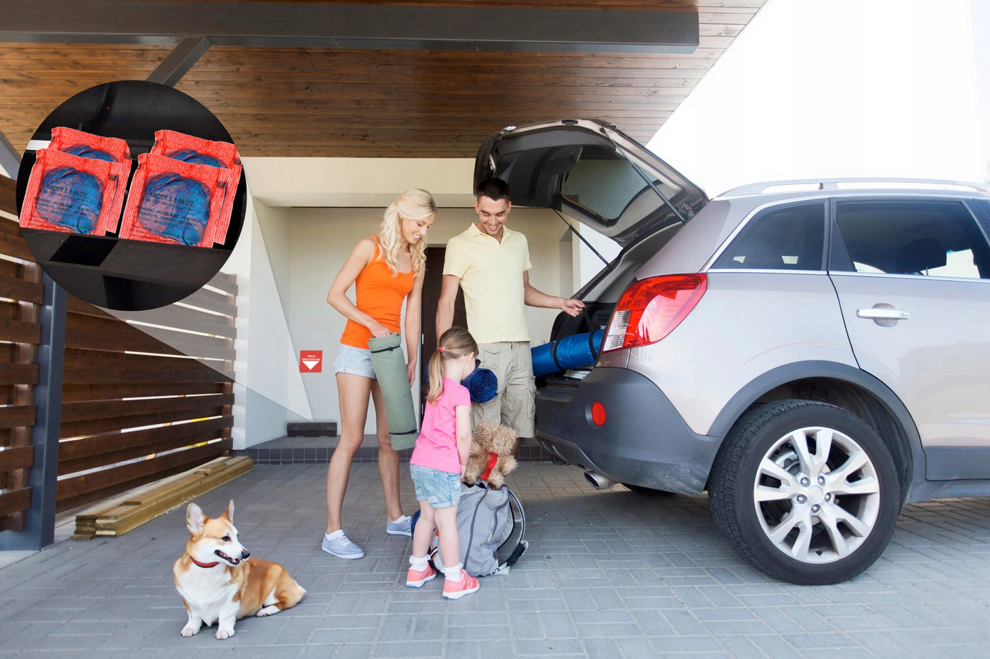 Stiprūs nuodai graužikams (žiurkėms, pelėms) - pasta NO PEST 3x1KG