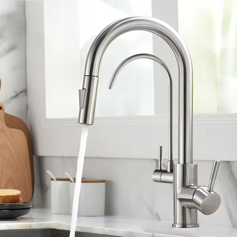 Virtuvės maišytuvas dvigubas REA Eco Fresh, nikeliuotas, stovintis su vandens filtru