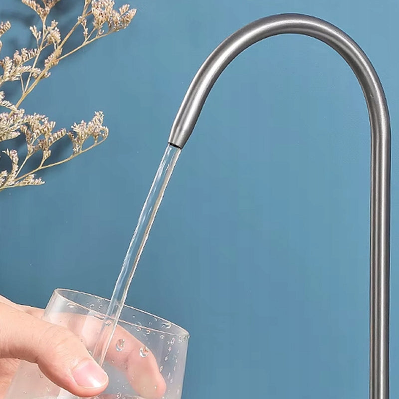 Virtuvės maišytuvas dvigubas REA Eco Fresh, nikeliuotas, stovintis su vandens filtru