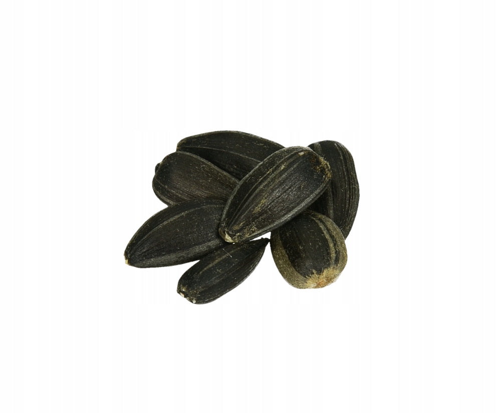 JUODOSIOS SAULĖGRĄŽOS SVEIKAS PAŠARAS MAISTAS SKANĖSTAS ŽIEMOJANTIEMS PAUKŠČIAMS 1KG