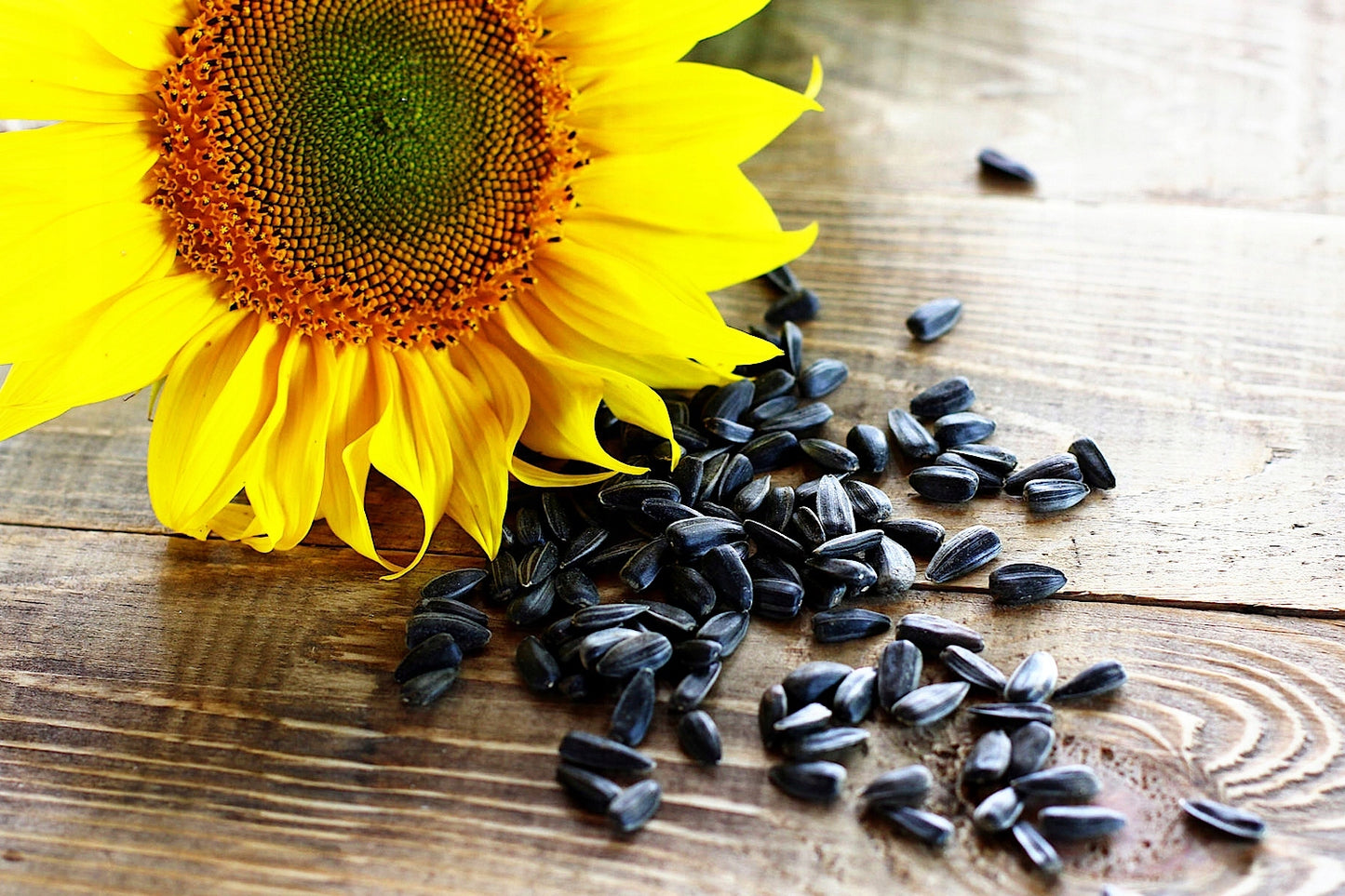 JUODOSIOS SAULĖGRĄŽOS SVEIKAS PAŠARAS MAISTAS SKANĖSTAS ŽIEMOJANTIEMS PAUKŠČIAMS 1KG