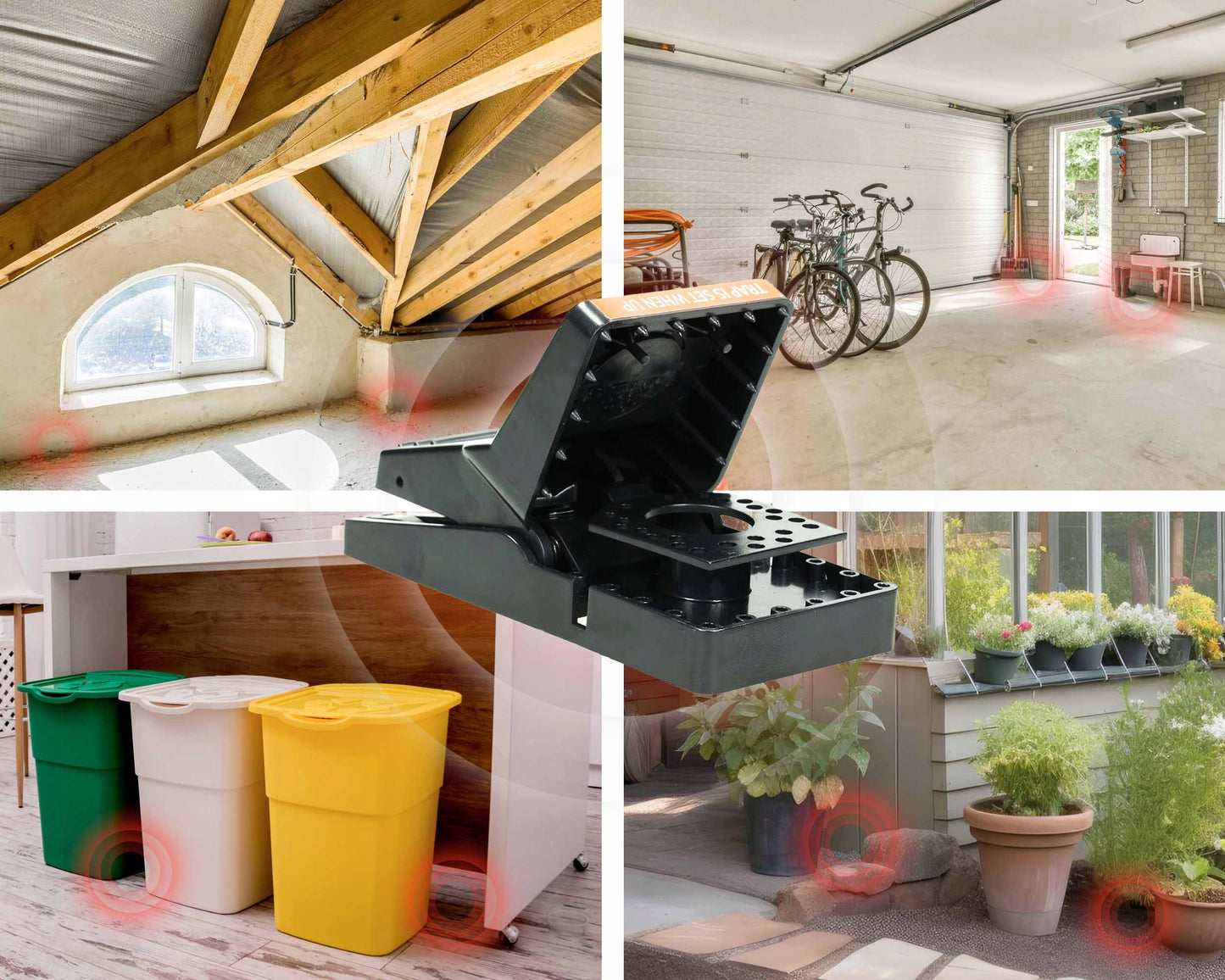 GILOTININIAI SPĄSTAI SU GAUDYKLE PELĖMS, ŽURKĖMS, GRAUŽIKAMS SX-5006 (5 VNT)