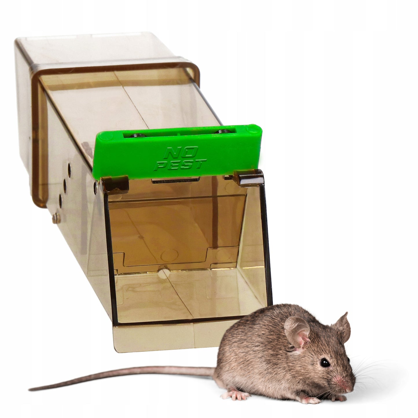 HUMANITARINIS GAUDYTUvas GYVATRAUKIS PELĖKAUTAI GRAUŽIKAMS NO PEST (5 VNT)