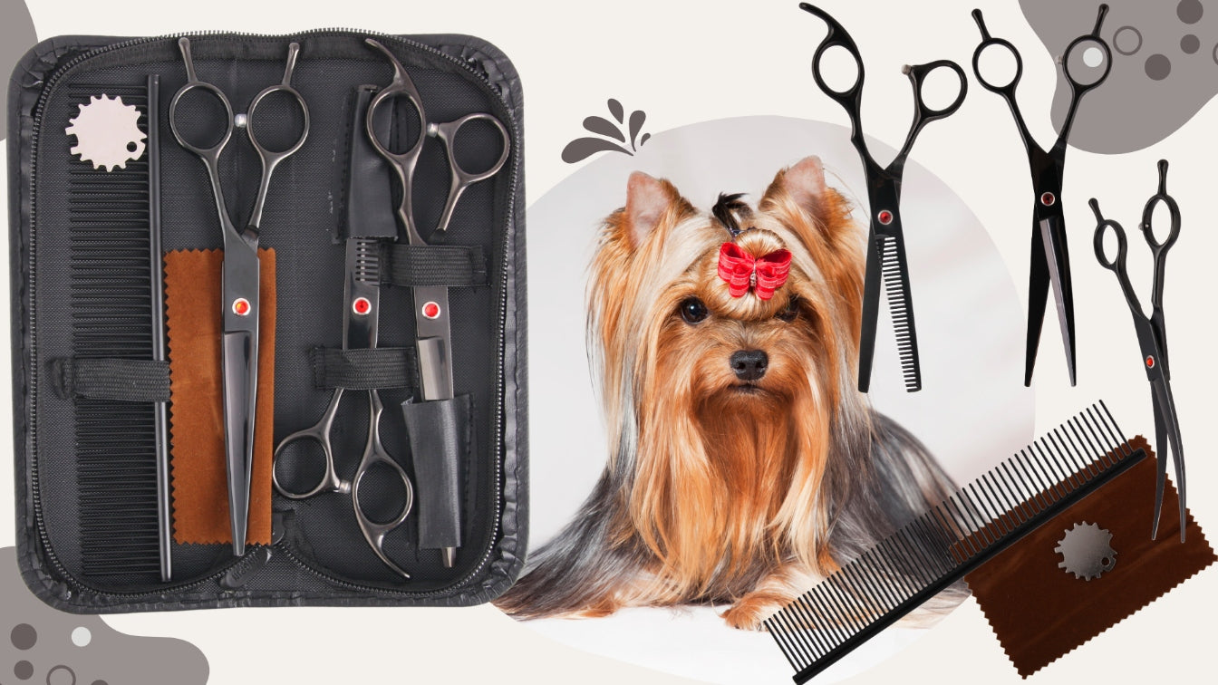 Kirpimo žirklės 7.0, grožio salono rinkinys 3+1 šunų kirpimui, kirpėjo