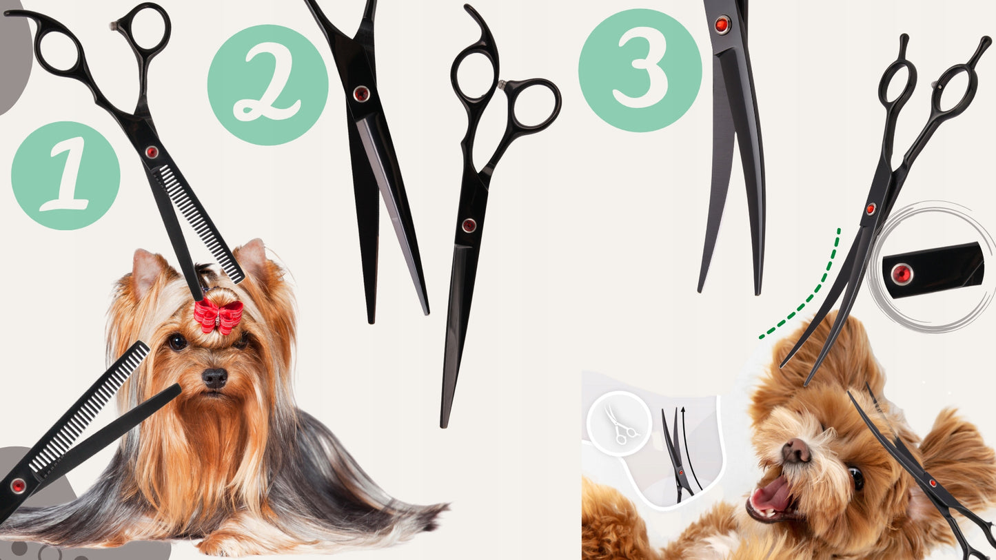 Kirpimo žirklės 7.0, grožio salono rinkinys 3+1 šunų kirpimui, kirpėjo