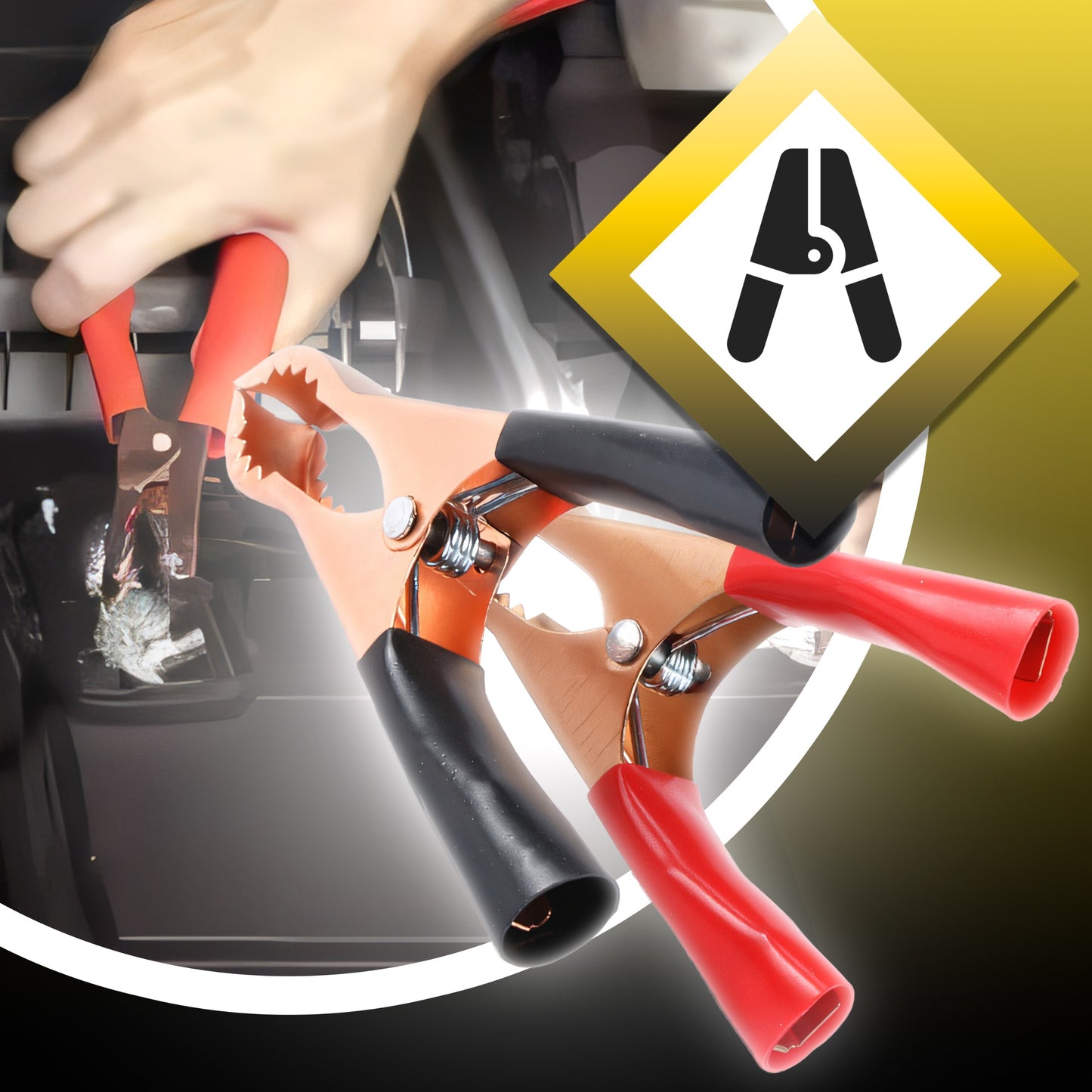 Automobilinis akumuliatorių įkroviklis su remonto funkcija 12V 24V