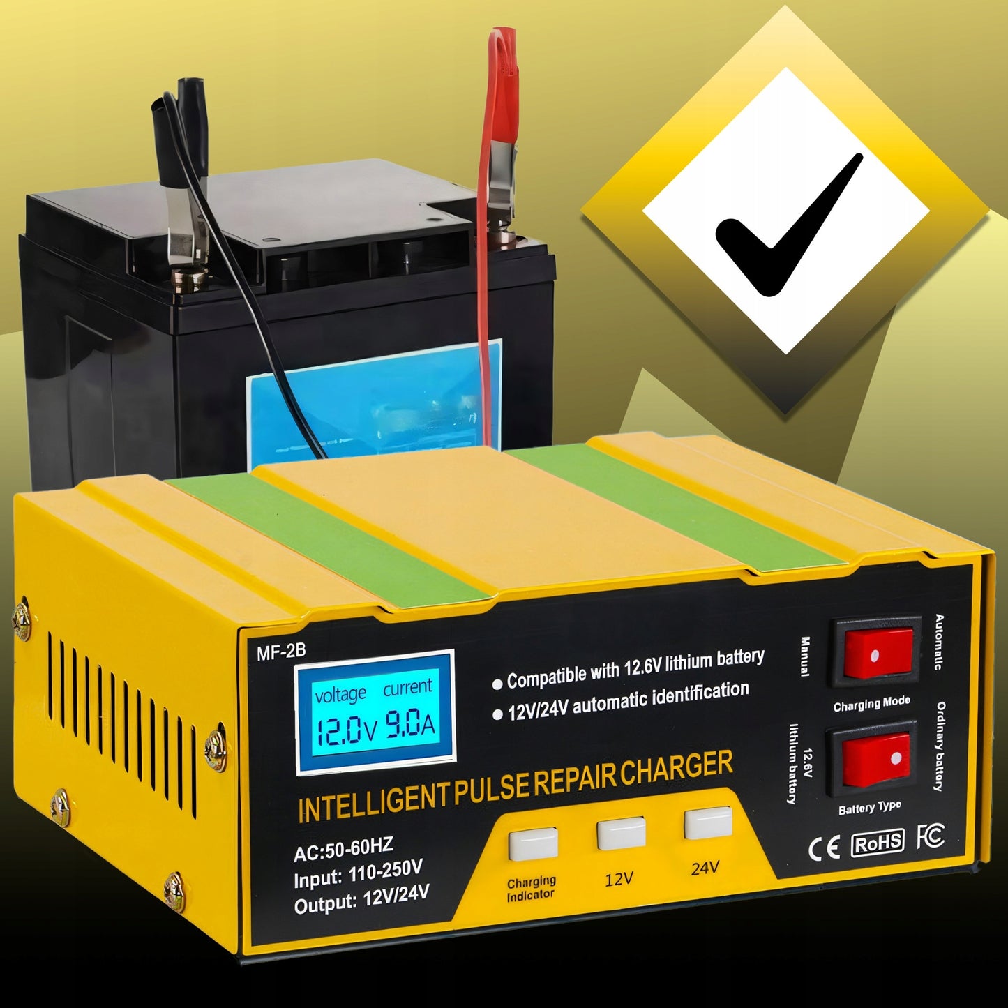 Automobilinis akumuliatorių įkroviklis su remonto funkcija 12V 24V