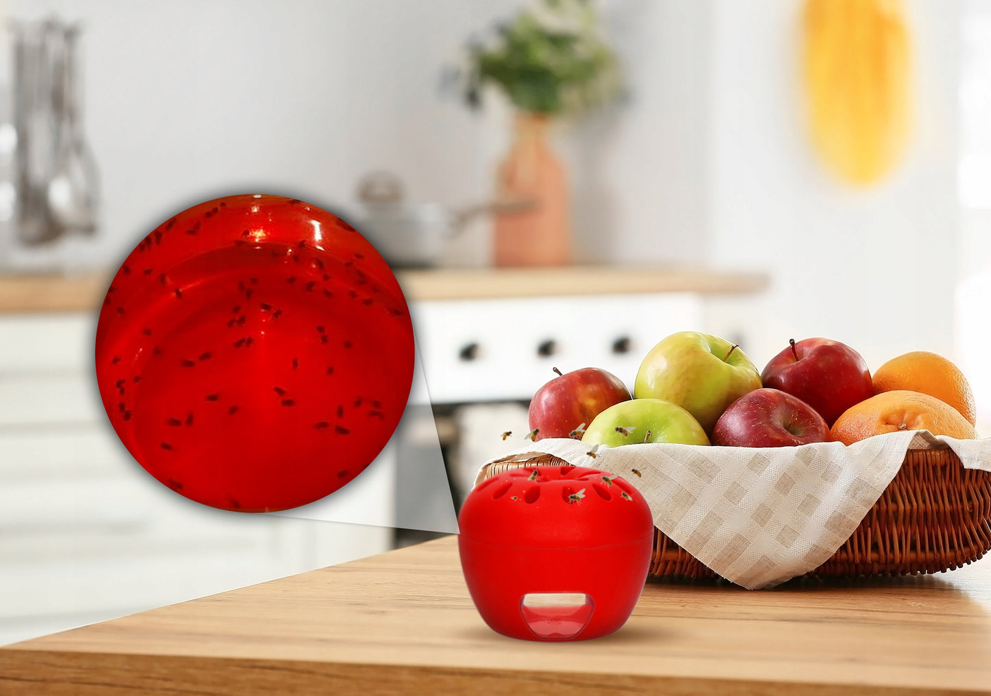 Vaisinių muselių gaudyklė FRUIT FLY TRAP NO PEST + Masalas 15ML (3 vnt.)