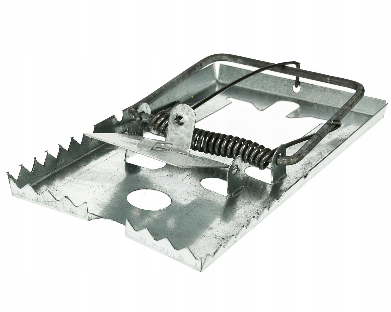 STIPRŪS METALINIAI SPĄSTAI ŽIURKĖMS, PELĖMS, GRAUŽIKAMS NERŪDIJANČIO PLIENO