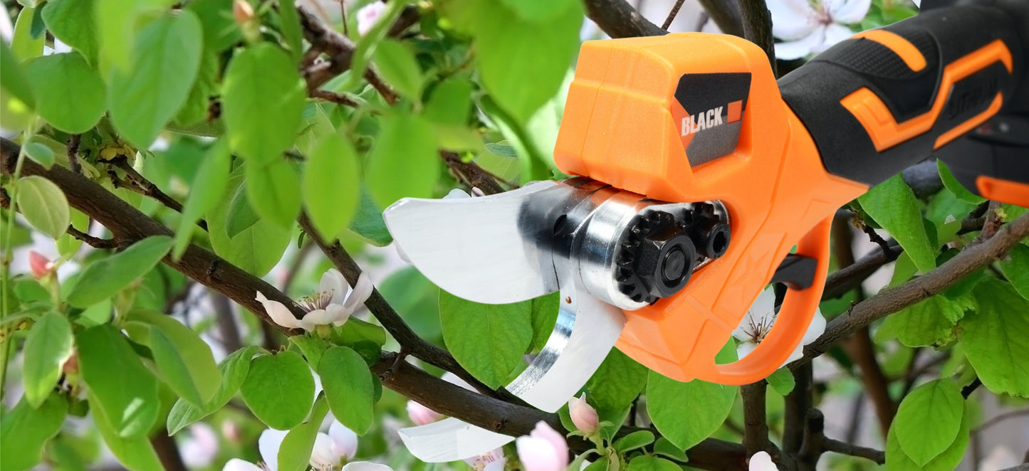 Elektrinio akumuliatorinio sekatoriaus rinkinys 30 mm 100 W 2 x Akumuliatorius 2 Ah BL