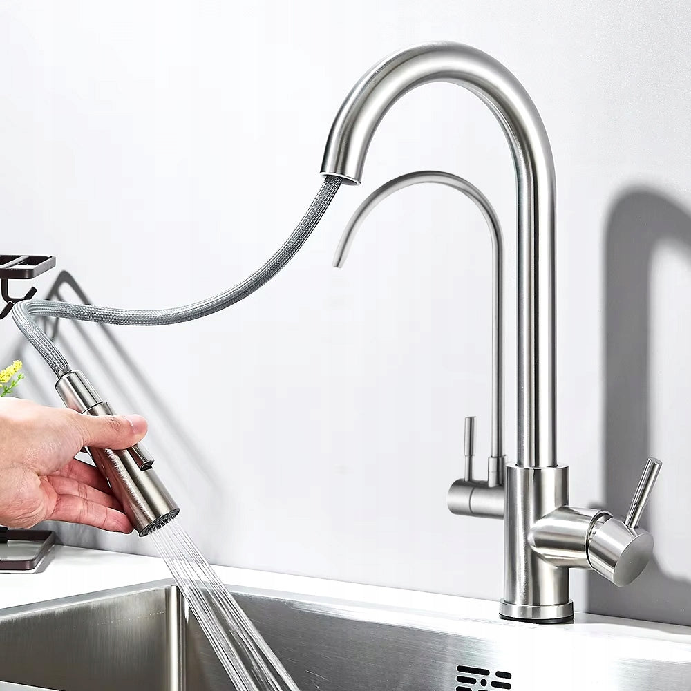 Virtuvės maišytuvas dvigubas REA Eco Fresh, nikeliuotas, stovintis su vandens filtru