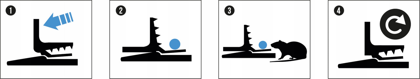 GILOTININIAI SPĄSTAI SU GAUDYKLE PELĖMS, ŽURKĖMS, GRAUŽIKAMS SX-5006 (5 VNT)