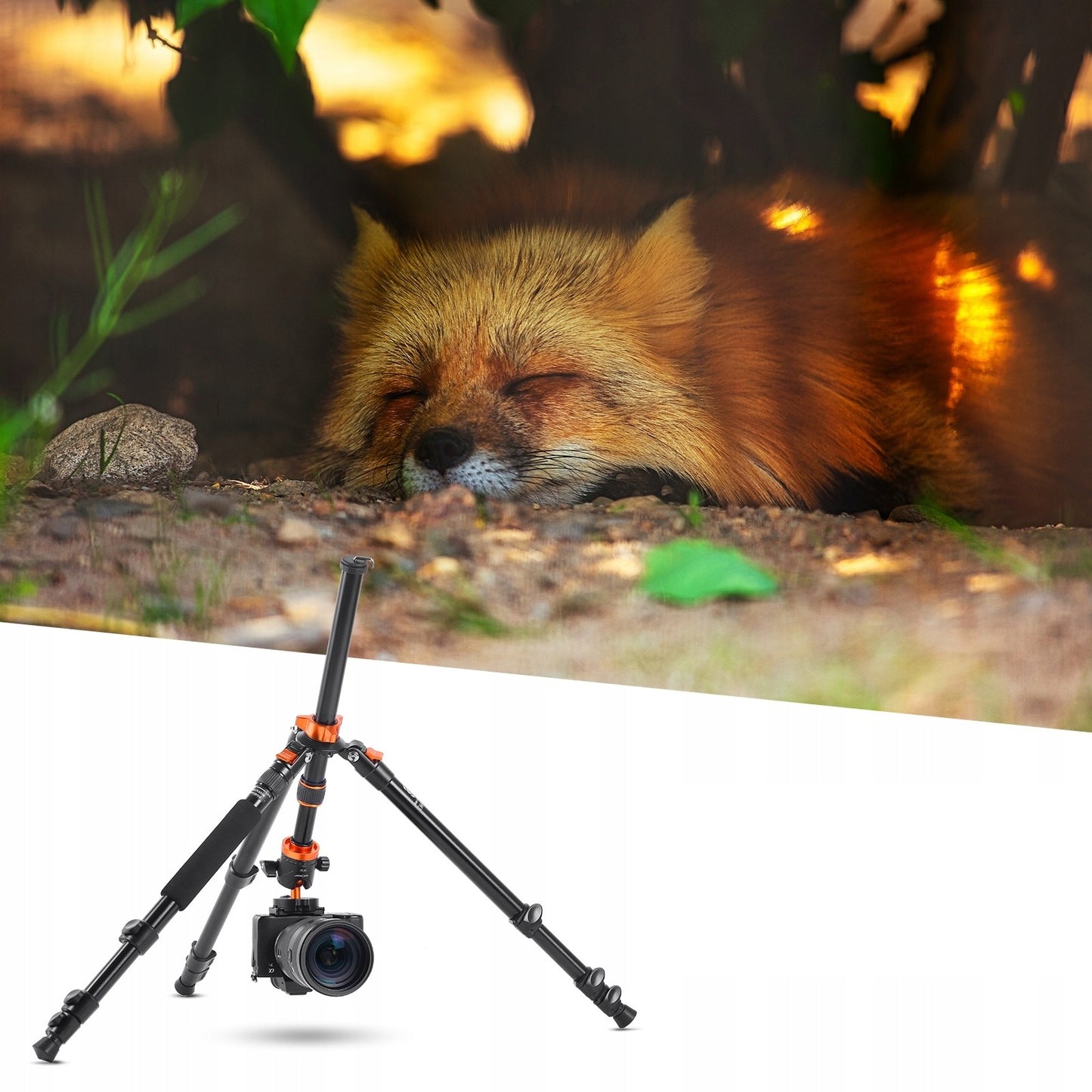 Profesionalus aliuminio trikojis su monopodu K&F Concept K254A3 175 cm – lengvas, tvirtas, su 360° panoramine galva ir makro fotografijos funkcija