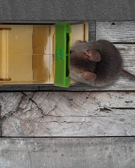 HUMANITARINIS GAUDYTUvas GYVATRAUKIS PELĖKAUTAI GRAUŽIKAMS NO PEST (5 VNT)