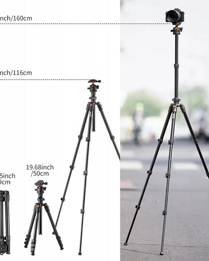 TRIPOD Fotoaparato trikojis + 3D galvutė + telefono laikiklis K&F