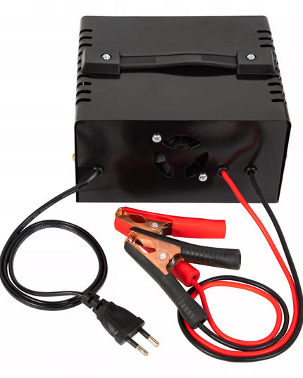AUTOMATINIS AKUMULIATORIŲ KROVIKLIS SU JŲ TAIISYMO FUNKCIJA 12V 24V