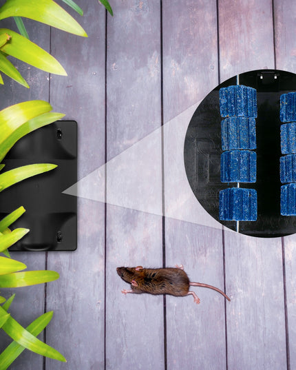 Rinkinys: 3 vnt. Nuodų stotelė (šėrykla) pelėms ir žiurkėms