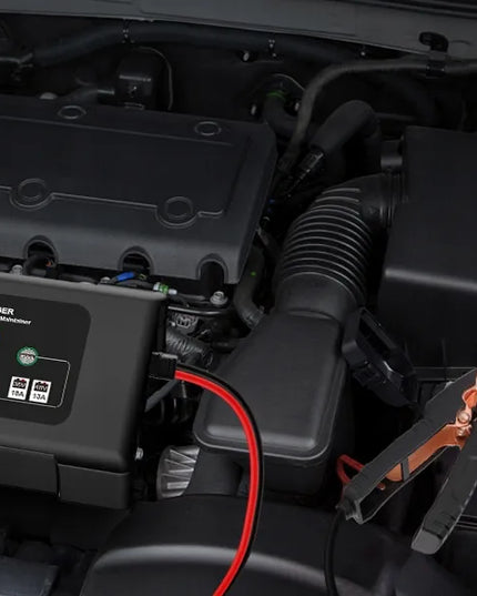 HTRC P3648 automatinis išmanusis 36 V / 48 V akumuliatorių įkroviklis, 18 A