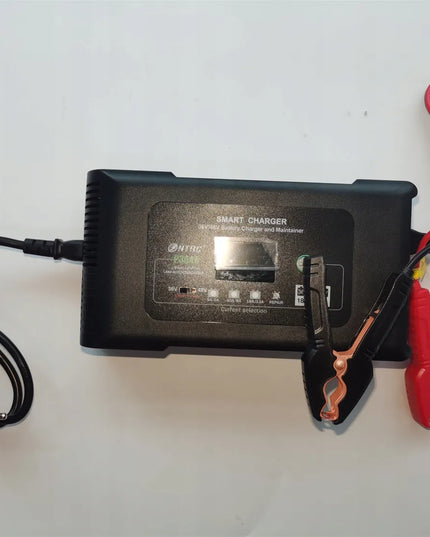 HTRC P3648 automatinis išmanusis 36 V / 48 V akumuliatorių įkroviklis, 18 A