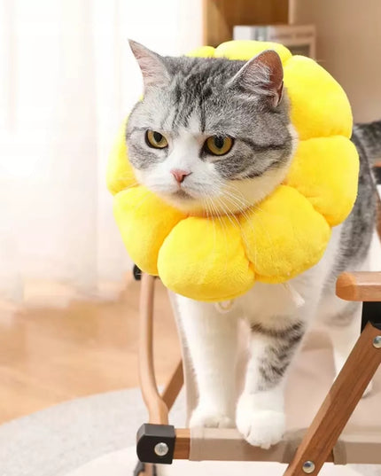 Minkštas pliušinis pooperacinis apykaklė katei ir šuniui, S (2-4 kg)