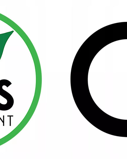 Automobilinis vaizdo registratorius Blow F610 Full HD 1920x1080 140° su atbulinės eigos kamera