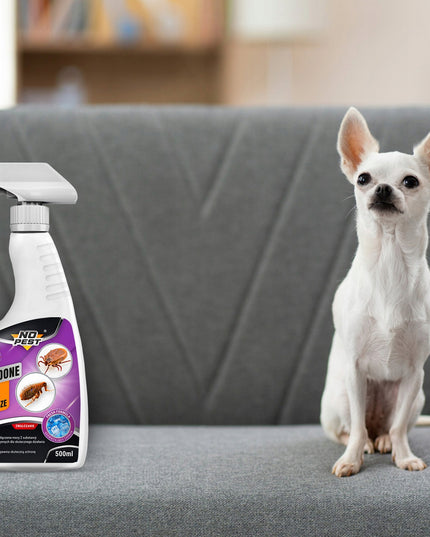 Purškalas nuo blusų su Cypermetrinu NO PEST PEST DONE