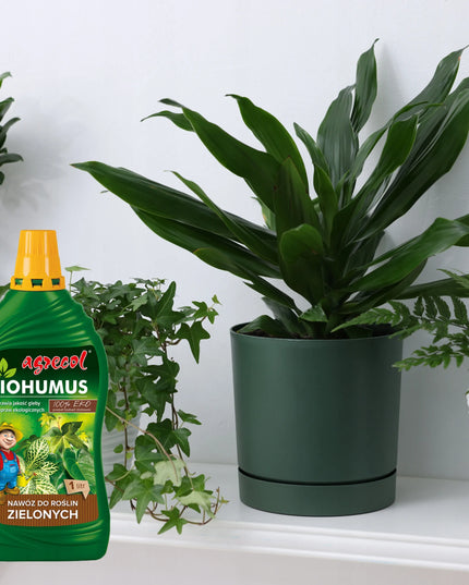 2x Biohumus EKO trąšos žaliems augalams Monstera Juka Fikus Agrecol 1l