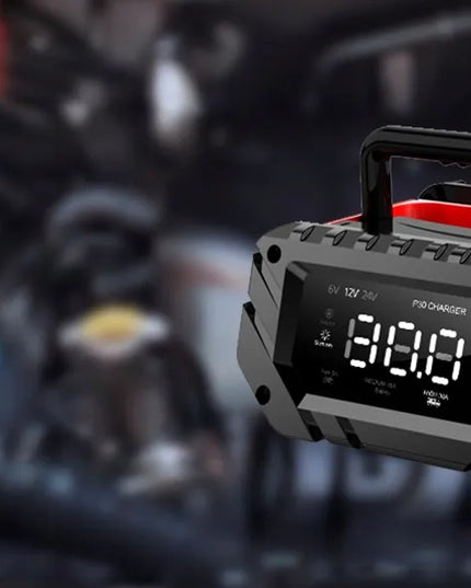 30 A P30 akumuliatorių įkroviklis LiFePO4 ir ličio akumuliatoriams, 6 V / 12 V / 24 V