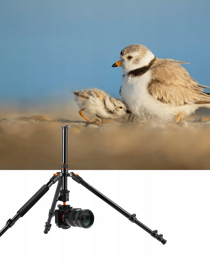 Trikojis fotoaparatui su 3D rutuline galvute makrofotografijai K&F Concept SA234