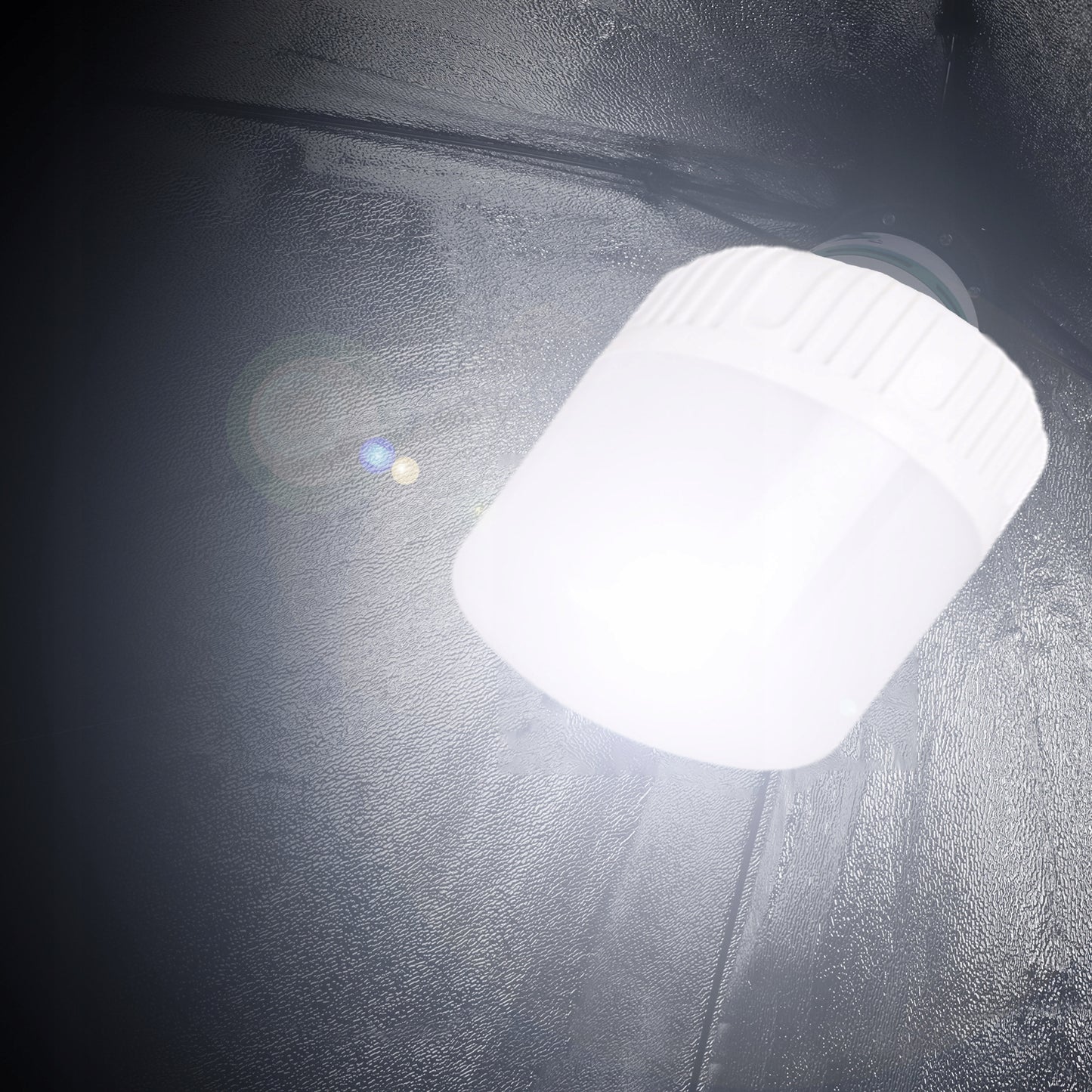 Fotografinis rinkinys: 2x fotografinė lempa, trikojis, 2x 50x70cm softboxas