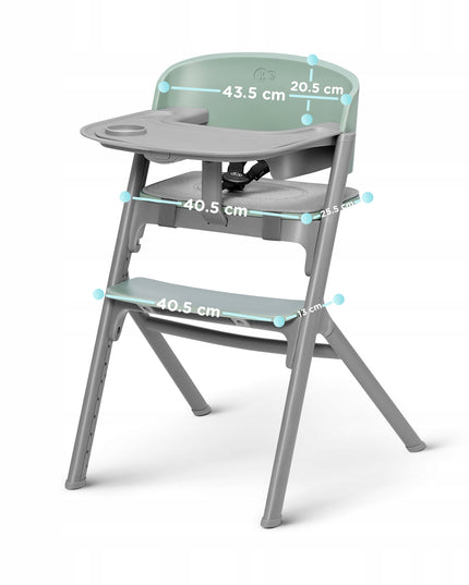 Kinderkraft Kėdutė maitinimui 3in1 110kg LIVY Žalia