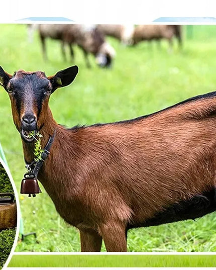 4 vnt. metaliniai varpeliai galvijams, avių varpelis papuošimui, žemės ūkio reikmenys