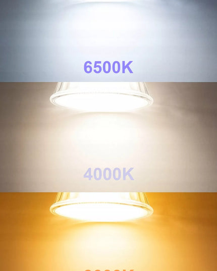 6x LED PHILIPS GU10 lemputė 4,9 W 550 lm neutrali balta 4000 K Premium rinkinys