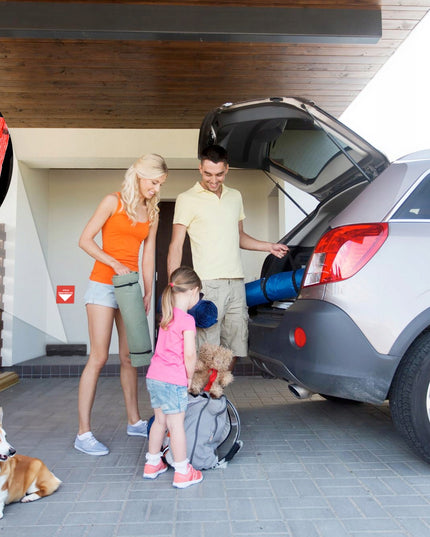 Nuodingasis masalas graužikams pasta stipri priemonė NO PEST 2x1KG