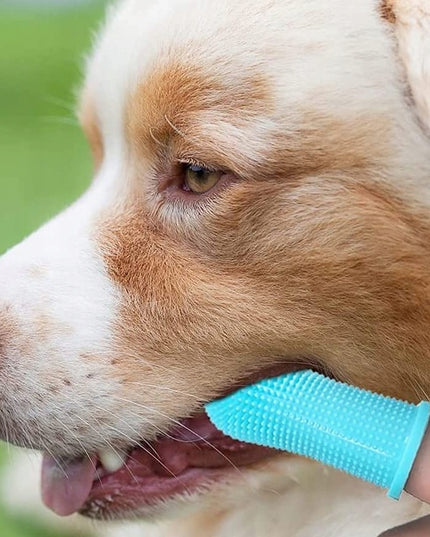 SILIKONINIS ŠEPETĖLIS DANTŲ VALYMUI ŠUNIUKUI SAUGUS