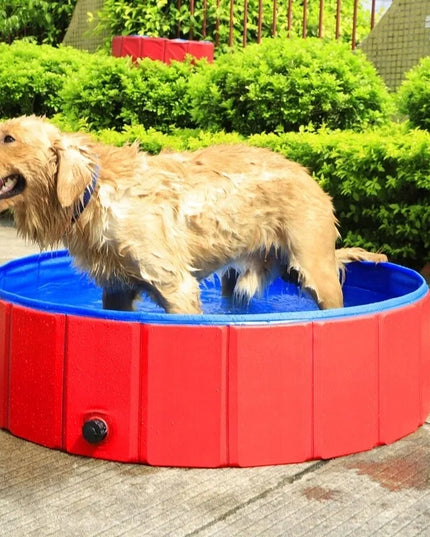 DOG POOL sulankstomas baseinas šunims ir augintiniams 80x20 cm
