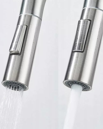 Virtuvės maišytuvas dvigubas REA Eco Fresh, nikeliuotas, stovintis su vandens filtru