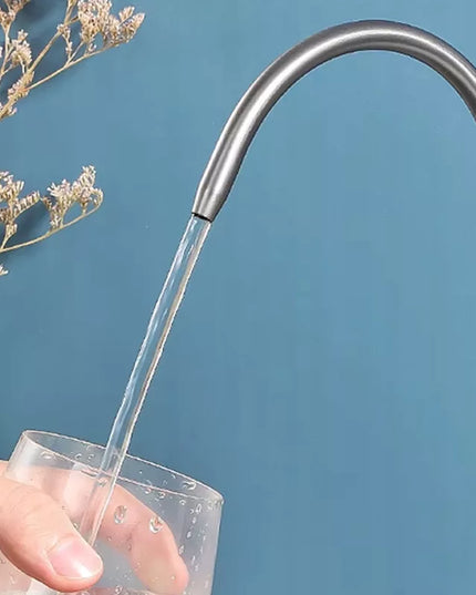 Virtuvės maišytuvas dvigubas REA Eco Fresh, nikeliuotas, stovintis su vandens filtru