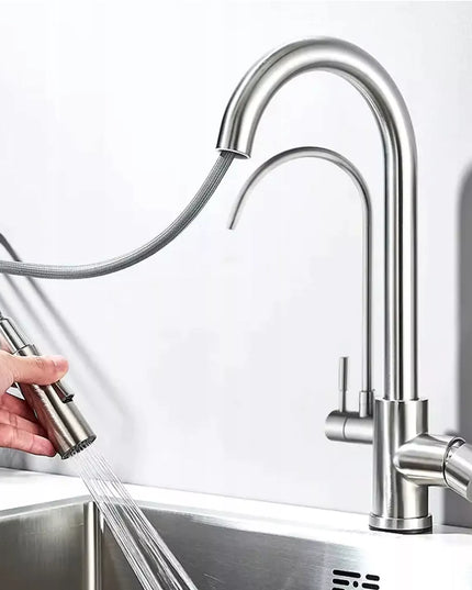 Virtuvės maišytuvas dvigubas REA Eco Fresh, nikeliuotas, stovintis su vandens filtru