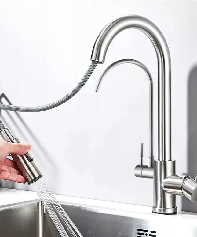 Virtuvės maišytuvas dvigubas REA Eco Fresh, nikeliuotas, stovintis su vandens filtru