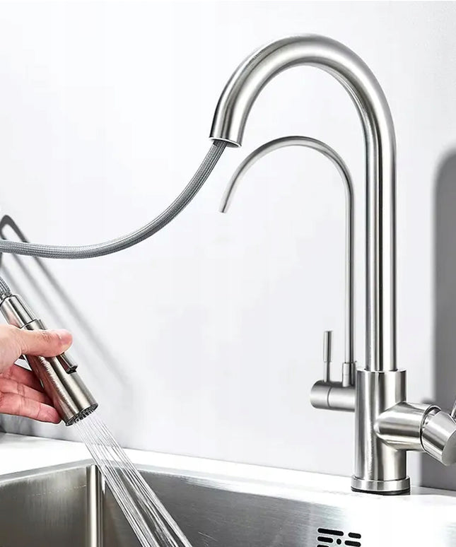 Virtuvės maišytuvas dvigubas REA Eco Fresh, nikeliuotas, stovintis su vandens filtru