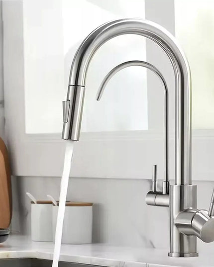 Virtuvės maišytuvas dvigubas REA Eco Fresh, nikeliuotas, stovintis su vandens filtru