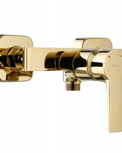 Auksinis sieninis dušo maišytuvas su galvute voniai, REA ARGUS GOLD